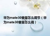 華為mate30音量怎么調(diào)節(jié)（華為mate30音量怎么調(diào)）