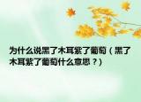 為什么說黑了木耳紫了葡萄（黑了木耳紫了葡萄什么意思 ?）