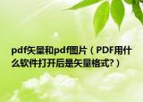 pdf矢量和pdf圖片（PDF用什么軟件打開后是矢量格式?）