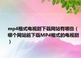 mp4格式電視劇下載網(wǎng)站有哪些（哪個(gè)網(wǎng)站能下載MP4格式的電視?。? /></span></a>
                        <h2><a href=
