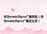 華為mate20pro廣角樣張（華為mate20pro廣角怎么開）