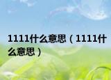 1111什么意思（1111什么意思）