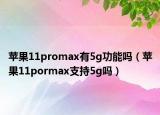蘋(píng)果11promax有5g功能嗎（蘋(píng)果11pormax支持5g嗎）