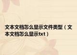 文本文檔怎么顯示文件類型（文本文檔怎么顯示txt）