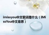 imissyou中文歌詞是什么（IMissYou中文意思）