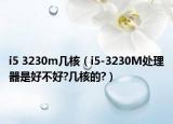 i5 3230m幾核（i5-3230M處理器是好不好?幾核的?）