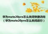 華為mate20pro怎么關閉快捷訪問（華為mate20pro怎么關閉運行）