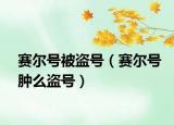 賽爾號(hào)被盜號(hào)（賽爾號(hào)腫么盜號(hào)）
