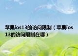 蘋果ios13的訪問限制（蘋果ios13的訪問限制在哪）
