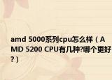 amd 5000系列cpu怎么樣（AMD 5200 CPU有幾種?哪個更好?）