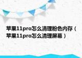 蘋(píng)果11pro怎么清理粉色內(nèi)存（蘋(píng)果11pro怎么清理屏幕）