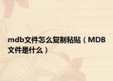 mdb文件怎么復(fù)制粘貼（MDB文件是什么）