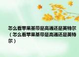 怎么看蘋果基帶是高通還是英特爾（怎么看蘋果基帶是高通還是英特爾）