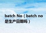 batch No（batch no是生產(chǎn)日期嗎）