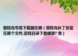 冒險(xiǎn)島專用下載器在哪（冒險(xiǎn)島補(bǔ)丁安裝在那個(gè)文件,游戲目錄下是哪里? 急）