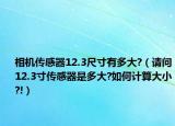 相機(jī)傳感器12.3尺寸有多大?（請(qǐng)問(wèn)12.3寸傳感器是多大?如何計(jì)算大小?!）