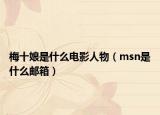 梅十娘是什么電影人物（msn是什么郵箱）