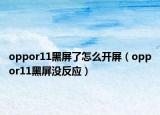 oppor11黑屏了怎么開屏（oppor11黑屏沒反應(yīng)）
