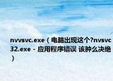 nvvsvc.exe（電腦出現(xiàn)這個?nvsvc32.exe - 應(yīng)用程序錯誤 該腫么決絕）