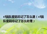 cf戰(zhàn)隊(duì)密碼忘記了怎么退（cf戰(zhàn)隊(duì)密碼忘記了怎么處理）