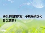手機系統(tǒng)的優(yōu)化（手機系統(tǒng)優(yōu)化什么意思）