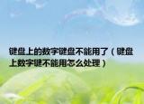 鍵盤上的數(shù)字鍵盤不能用了（鍵盤上數(shù)字鍵不能用怎么處理）