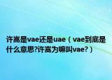 許嵩是vae還是uae（vae到底是什么意思?許嵩為嘛叫vae?）