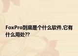 FoxPro到底是個什么軟件,它有什么用處??