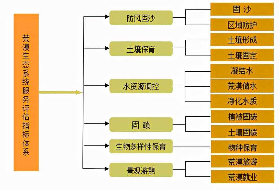 為什么荒漠化需要治理，荒漠卻需要保護？