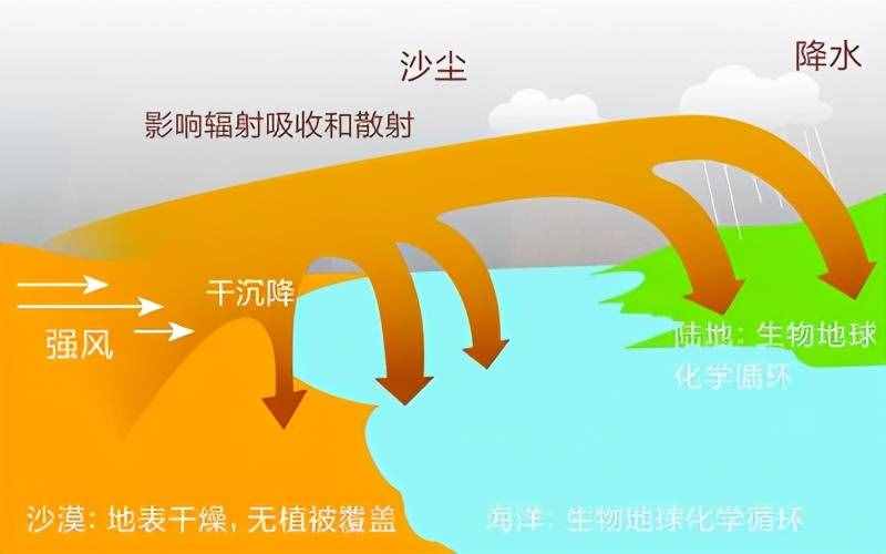 為什么荒漠化需要治理，荒漠卻需要保護？