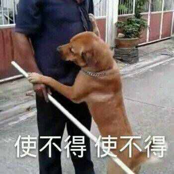微信聊天記錄云同步！用了這個方法，再也不怕聊天記錄丟失