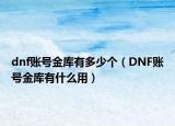 dnf賬號金庫有多少個（DNF賬號金庫有什么用）