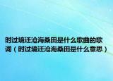 時(shí)過境遷滄海桑田是什么歌曲的歌詞（時(shí)過境遷滄海桑田是什么意思）