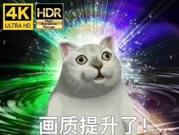 這只網(wǎng)紅貓貓到底出自哪里？看完這篇，我感覺奇怪的知識增加了