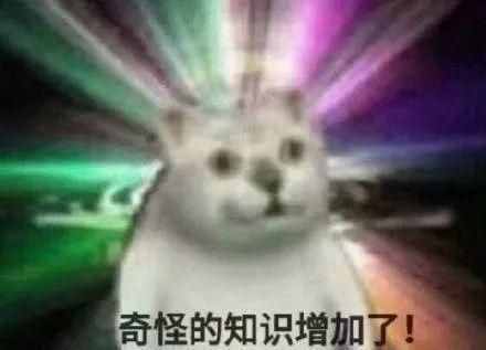 這只網(wǎng)紅貓貓到底出自哪里？看完這篇，我感覺奇怪的知識增加了
