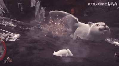 這只網(wǎng)紅貓貓到底出自哪里？看完這篇，我感覺奇怪的知識增加了