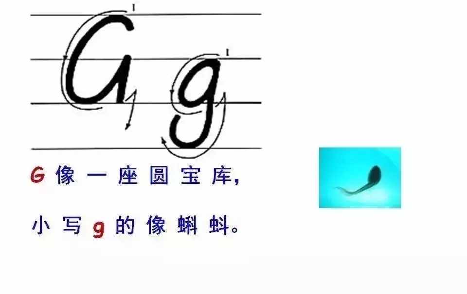 超詳細(xì)的26個(gè)英文字母書寫規(guī)范，趁暑假讓孩子把基本功練起來