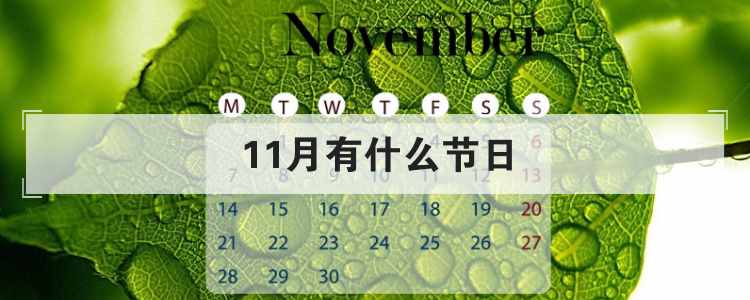 11月有什么節(jié)日