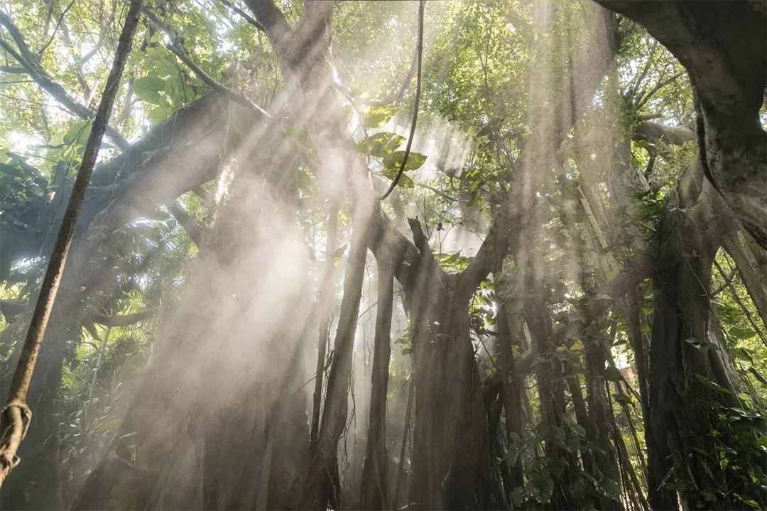 我們在深圳玩足了一整年，為你整理了這些好去處