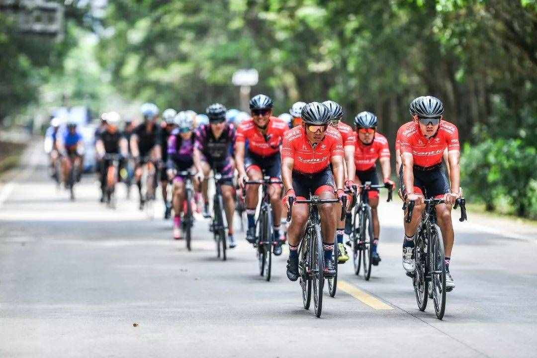 你一定想去的，海南自行車環(huán)島線路介紹，800公里的椰島風(fēng)光