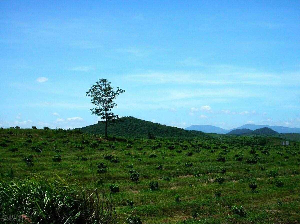 你一定想去的，海南自行車環(huán)島線路介紹，800公里的椰島風(fēng)光