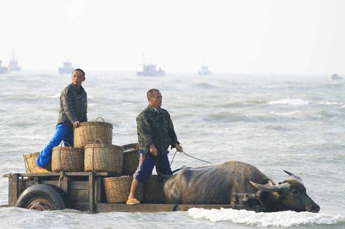 你一定想去的，海南自行車環(huán)島線路介紹，800公里的椰島風(fēng)光