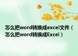 怎么把word轉(zhuǎn)換成excel文件（怎么把word轉(zhuǎn)換成Excel）