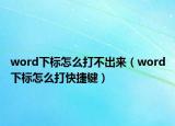 word下標(biāo)怎么打不出來（word下標(biāo)怎么打快捷鍵）