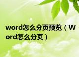 word怎么分頁(yè)預(yù)覽（Word怎么分頁(yè)）