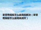 家里有螞蟻怎么能徹底解決（家里有螞蟻怎么能徹底消滅）