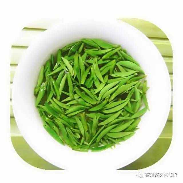 茶友解析：清溪玉芽