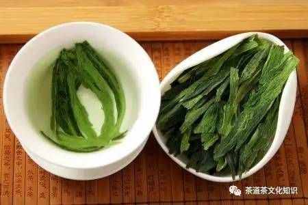 茶友解析：清溪玉芽