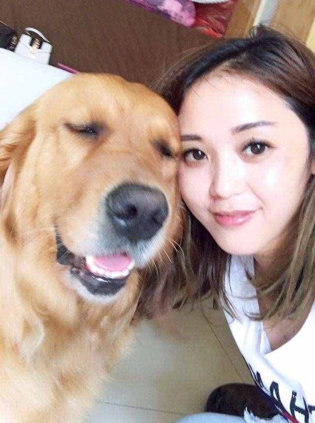 飼養(yǎng)金毛犬最正確的方法，你學(xué)會(huì)了嗎？