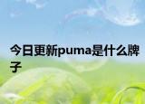 今日更新puma是什么牌子